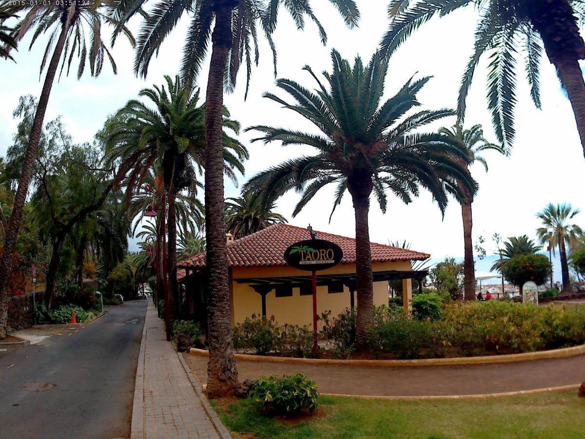 Estudio brillante, confortable y agradable Puerto de la Cruz  Exterior foto